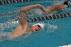 Swimming vs Bentley  Wheaton College Swimming & Diving vs Bentley College. - Photo by Keith Nordstrom : Wheaton, Swimming & Diving
